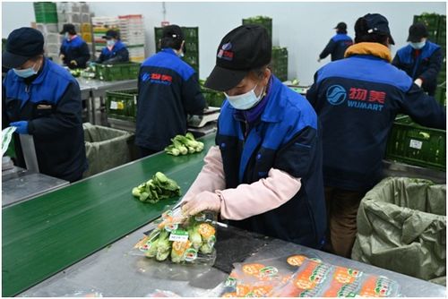 物美首次开放包装菜加工厂 打造食品安全模范超市